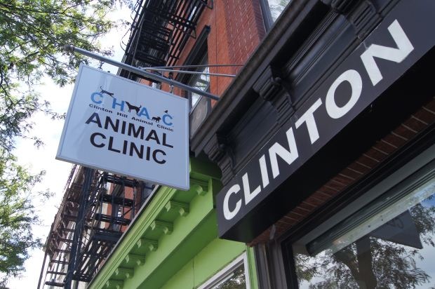 Clinton Hill Animal Clinic - Myrtle Avenue Brooklyn ...