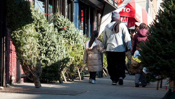 Holiday Tree Shopping on Myrtle