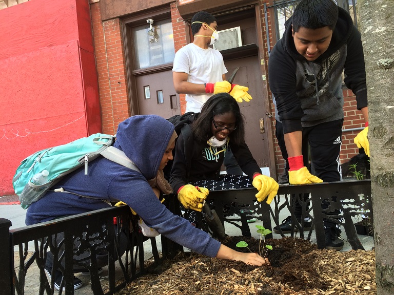 treed_plantingday-kids-in-pitii_2016-768